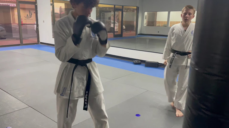 Ageless Martial Arts Las Vegas — Las Vegas, Nevada (3)