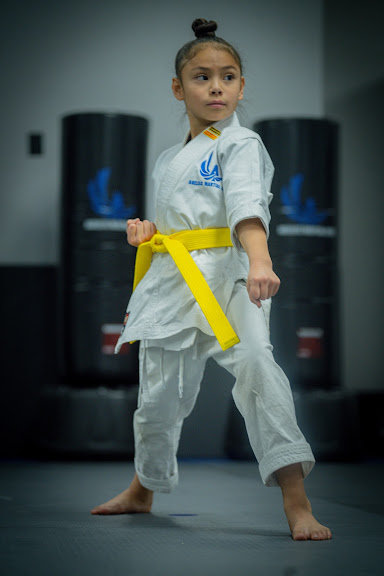 Ageless Martial Arts Las Vegas — Martial Arts venue in Nevada