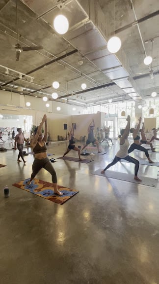 Ahana Yoga — Miami, Florida (3)