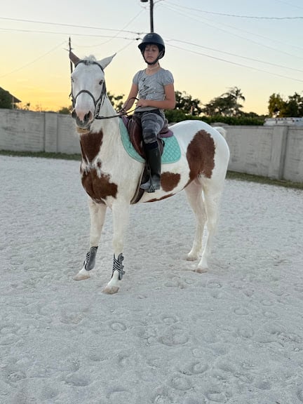 AHG Equestrian Bless