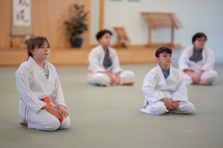 Aikido of Scottsdale — Scottsdale, Arizona (2)