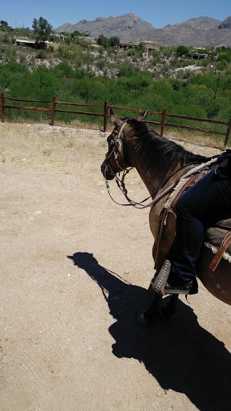 All Around Trail Horses — Tucson, Arizona (2)