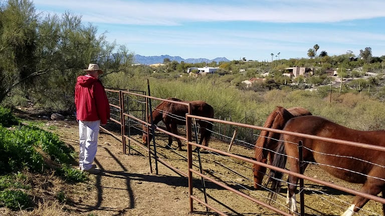 All Around Trail Horses — Tucson, Arizona (3)