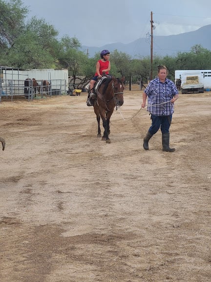 All Around Trail Horses — Equestrian venue in Tucson, Arizona
