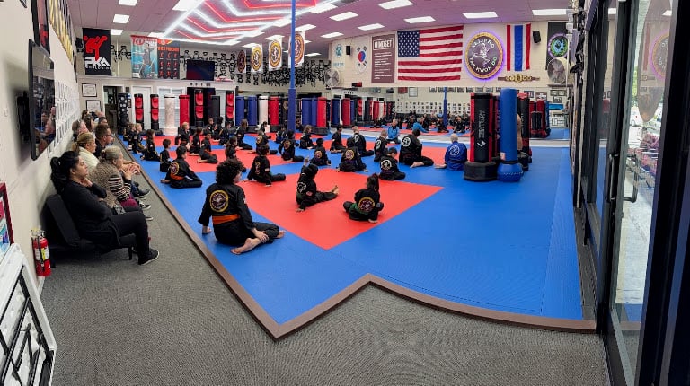 All-Pro Tae Kwon Do Academy — Los Gatos, California (2)