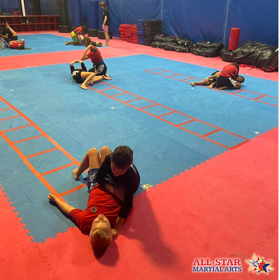 All-Star Martial Arts — Cypress, Texas (3)