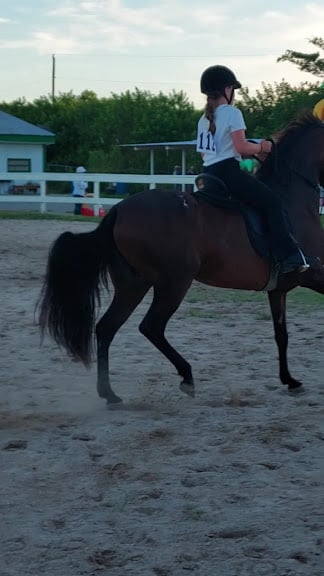 Alma Mater Equestrian Center — Miami, Florida (2)