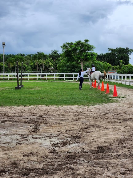 Alma Mater Equestrian Center