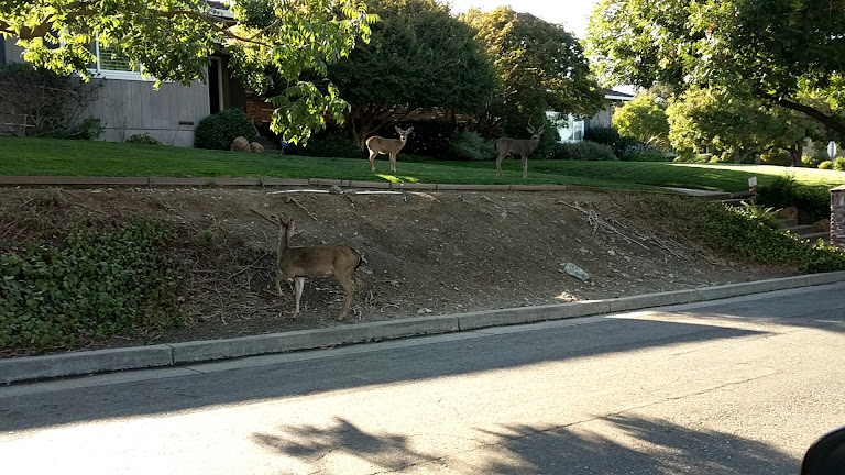 Almaden Golf & Country Club — San Jose, California (3)