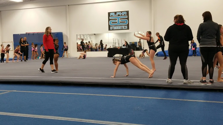 Alpha Gymnastics — Moore, Oklahoma (2)