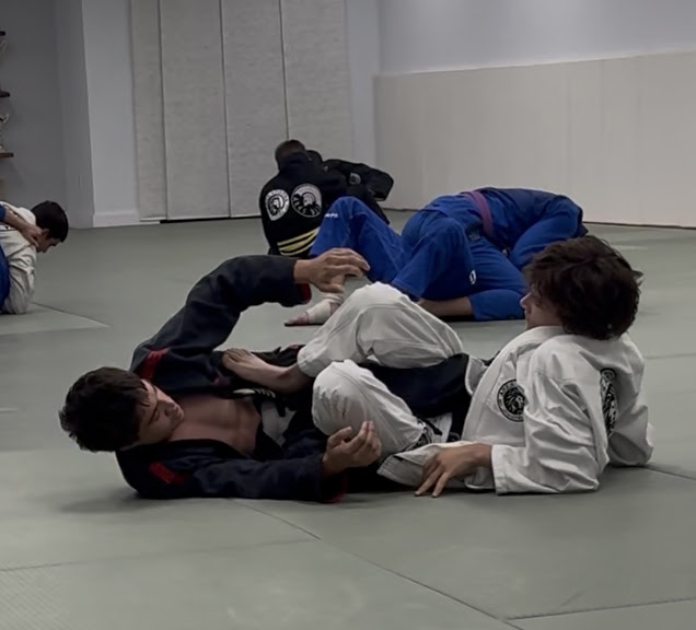 Ares Arizona Brazilian Jiu Jitsu — Mesa, Arizona (2)