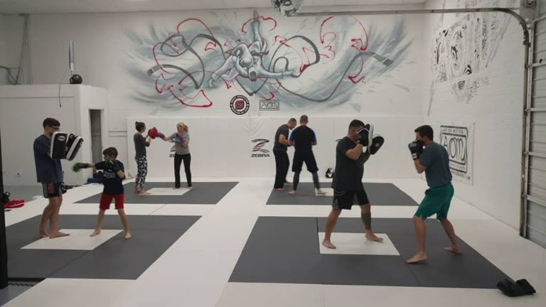 Art of Motion Jiu Jitsu — Indian Trail, North Carolina (3)