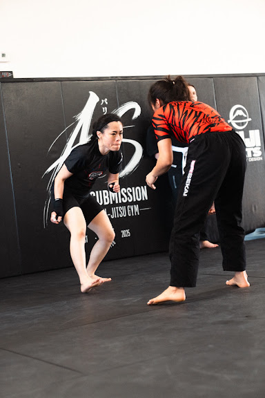 Art of Submission Brazilian Jiu-Jitsu Gym