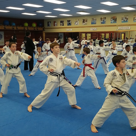 Asheville Sun Soo Martial Arts — Asheville, North Carolina (3)