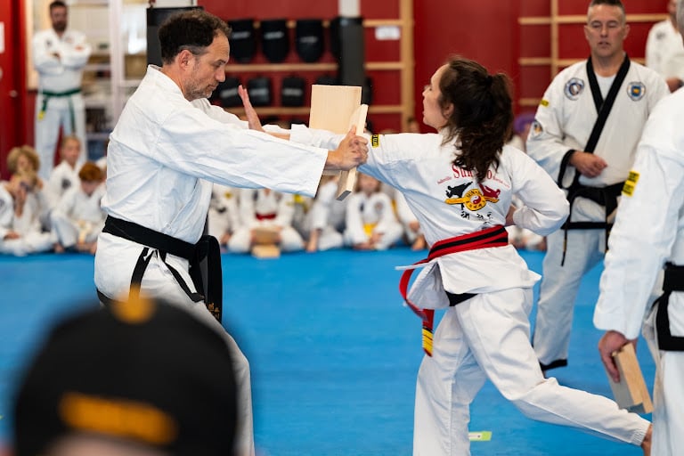 Asheville Sun Soo Martial Arts — Martial Arts venue in Asheville, North Carolina