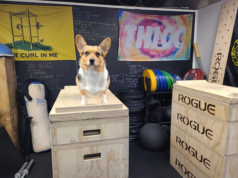 Astoria Barbell Club — Astoria, New York (3)