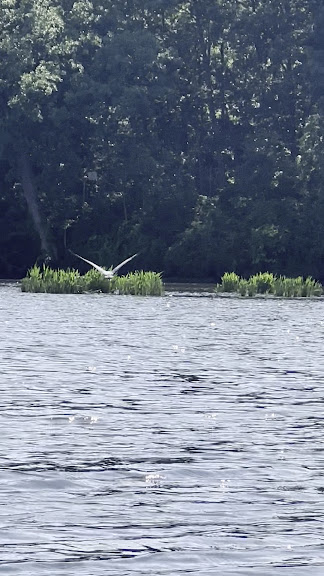 Atlantic Kayak Co — Indian Head, Maryland (3)
