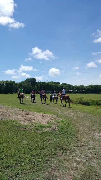 AURUM Performance Stables