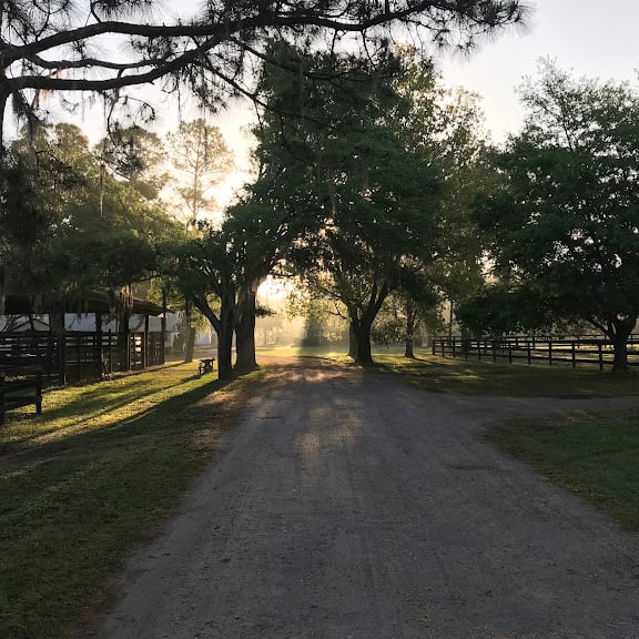 Avalon Stables