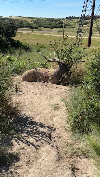 Backcountry Wilderness Area Archery Range & 3D Range — Littleton, Colorado (2)