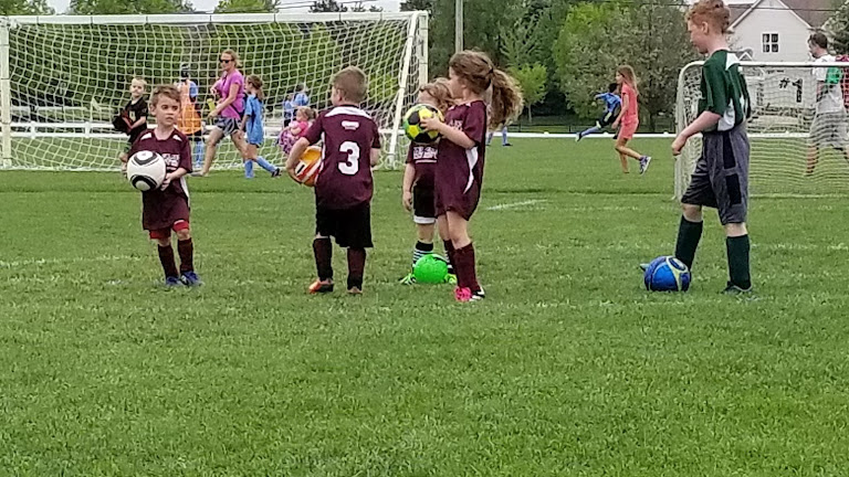 Badger Fields — Carmel, Indiana (3)