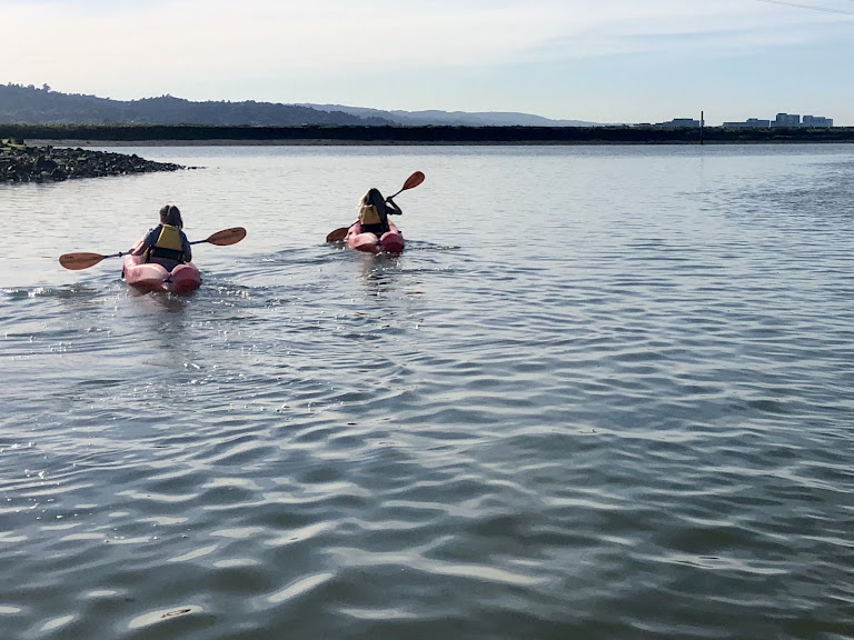 Bair Island Aquatic Center - Rowing and Paddling Club — Redwood City, California (3)