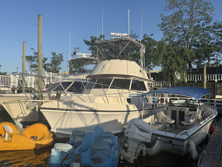 Bay Boat Rental — Brooklyn, New York (3)