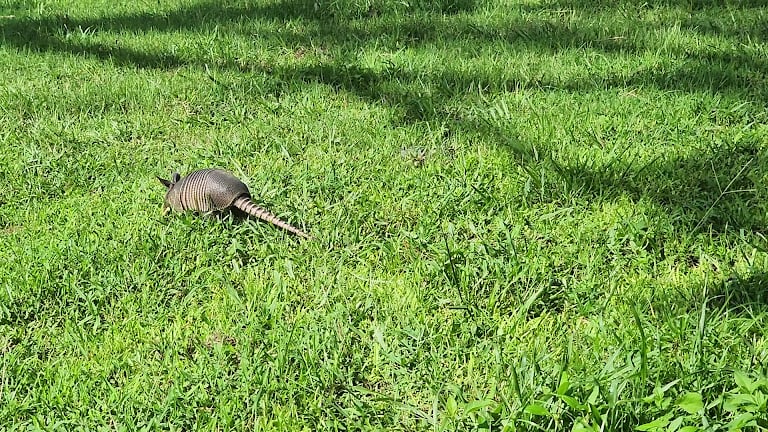 Bay Palms Golf Complex — Tampa, Florida (3)