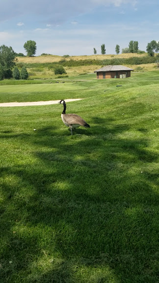Bear Creek Golf Club — Lakewood, Colorado (3)