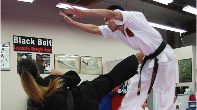 Bellevue Martial Arts Academy LLC