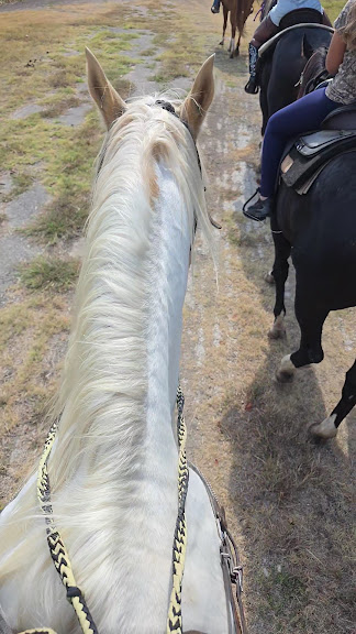 Benbrook Stables — Fort Worth, Texas (2)