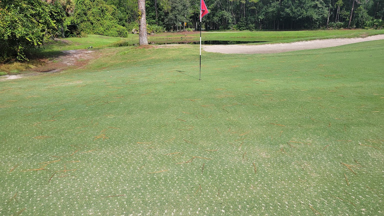 Bent Creek Golf Course — Jacksonville, Florida (2)