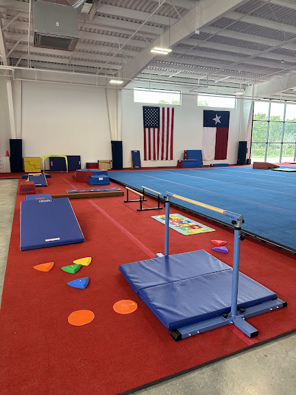 Best Gymnastics
