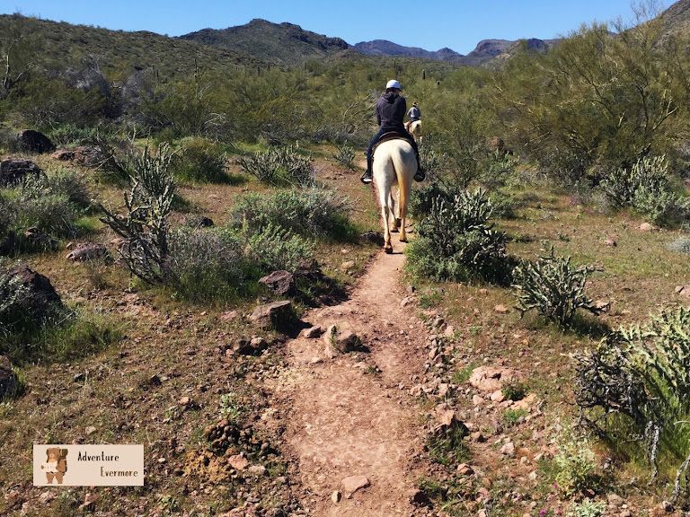Betty's Trail Rides — Morristown, Arizona (2)