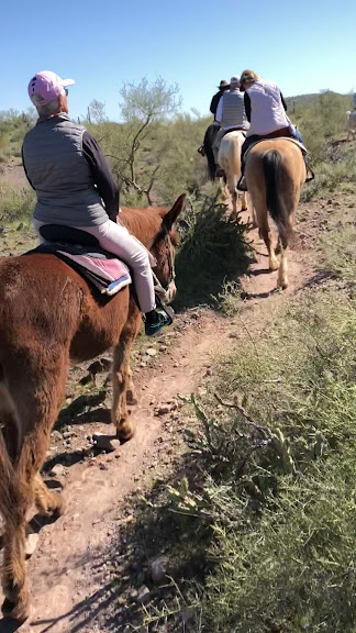 Betty's Trail Rides — Morristown, Arizona (3)
