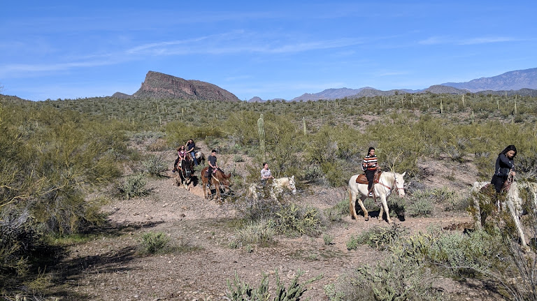 Betty’s Trail Rides