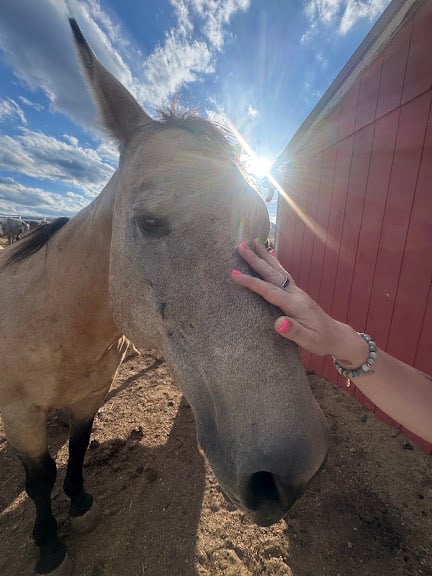 Big Horn Stables — Littleton, Colorado (2)