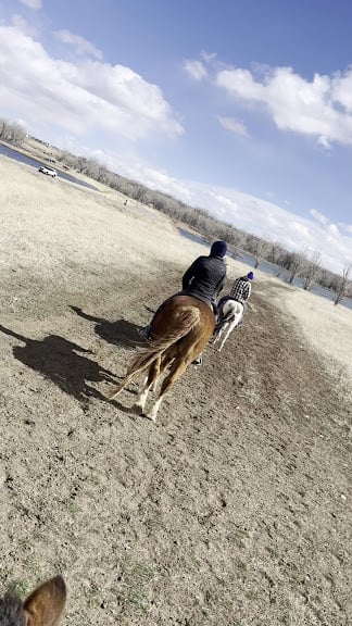Big Horn Stables — Littleton, Colorado (3)