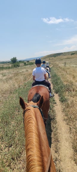 Big Horn Stables