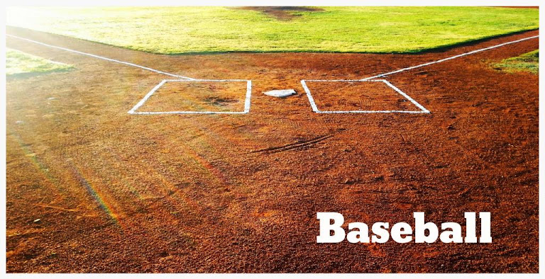Big Leaguer Baseball