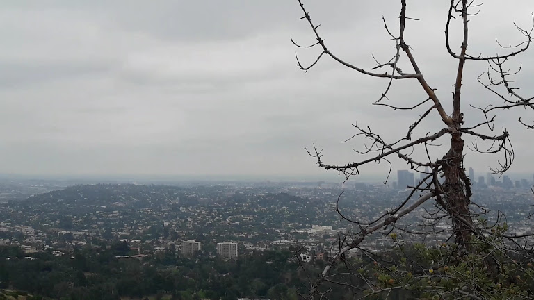 Bikes and Hikes LA - Los Angeles Tours — Los Angeles, California (3)