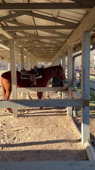 Biltmore Stable Horse Riding — Asheville, North Carolina (2)