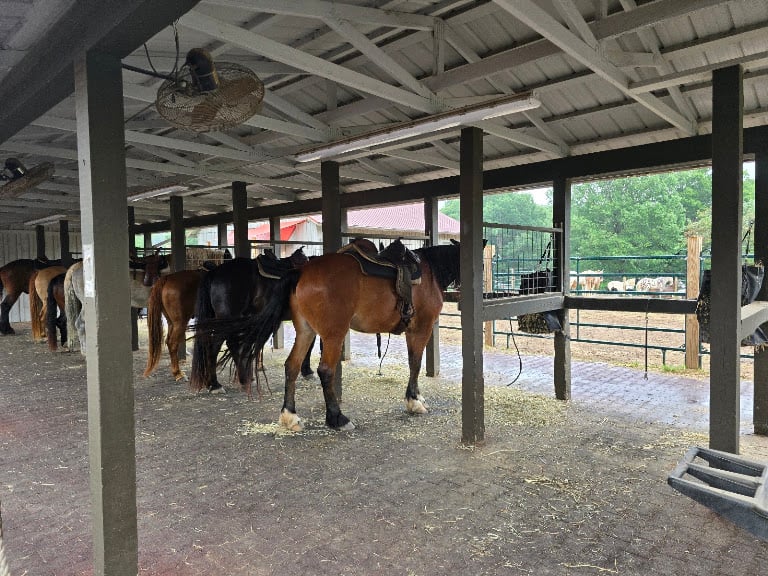 Biltmore Stable Horse Riding