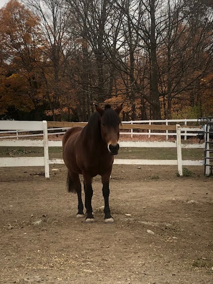 BINA Farm Center