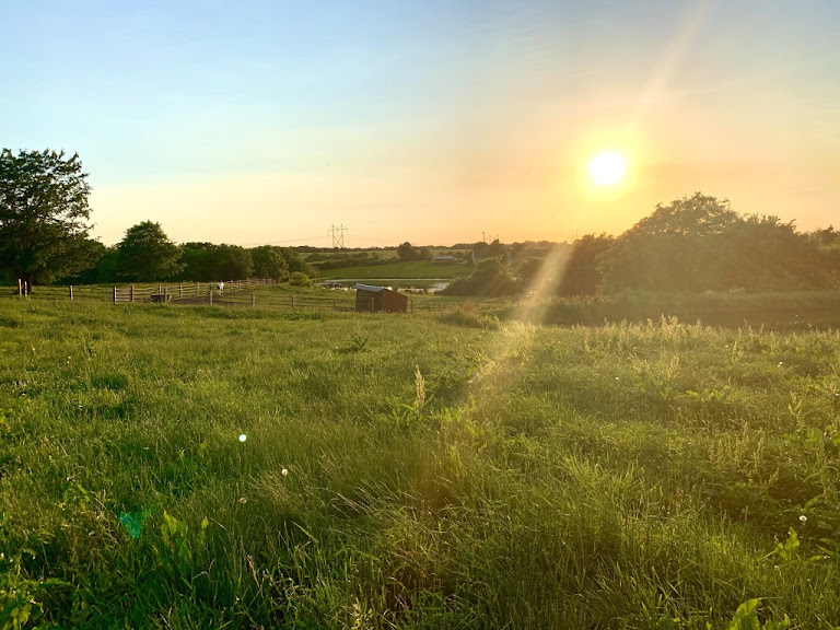 Black Diamond Ranch — Kansas City, Missouri (2)