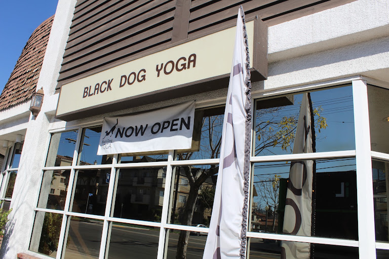 Black Dog Yoga