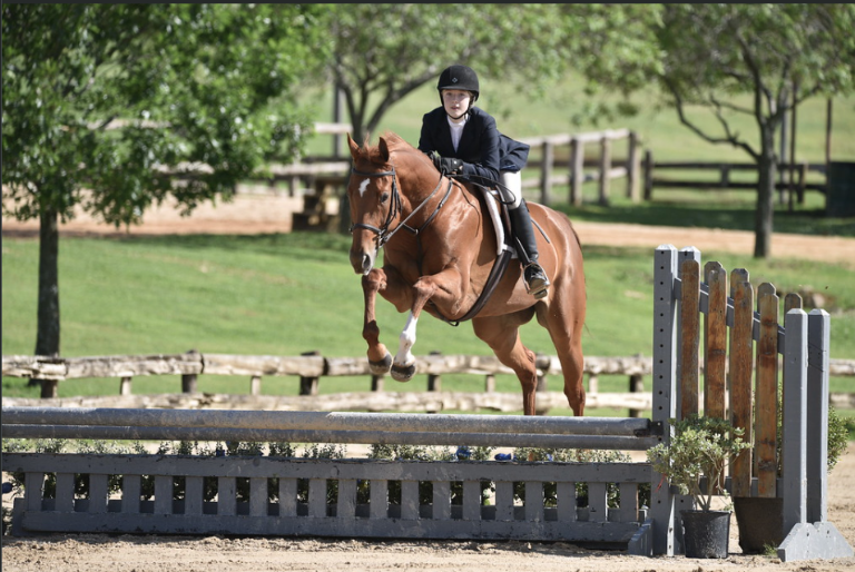Blackstone Equestrian — Parker, Texas (2)