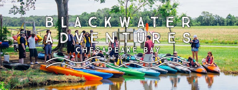 Blackwater Adventures Chesapeake Bay Blackwater Adventures Chesapeake Bay