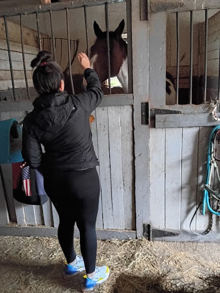 Blazing Saddles Equestrian Center — Randolph, Massachusetts (2)