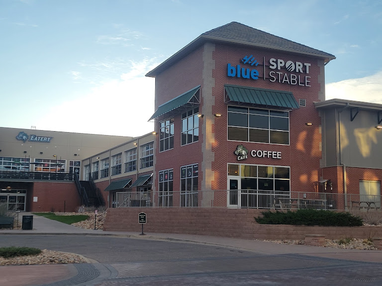 Blue Sport Stable